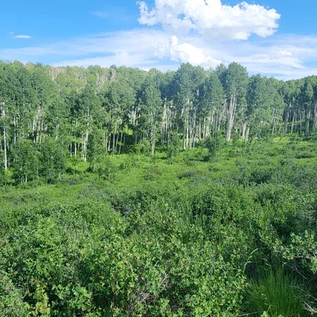 a view of a city and lush green forest