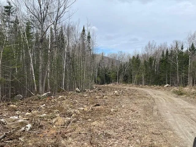 $172,900 | Lot 117 Big Snow Way, Rangeley, ME 04970