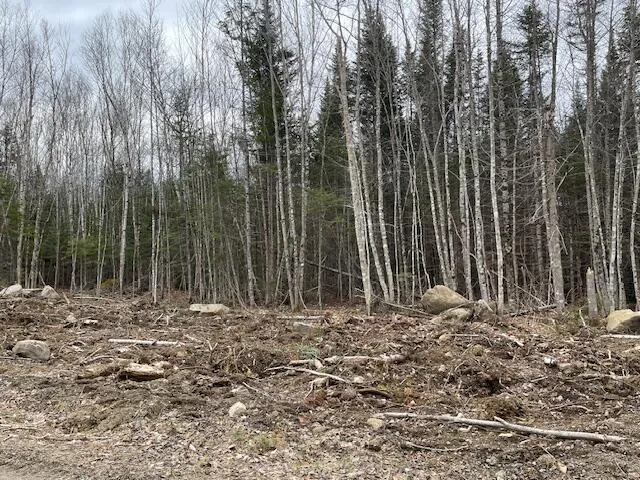 $172,900 | Lot 117 Big Snow Way, Rangeley, ME 04970