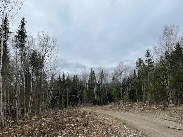 $172,900 | Lot 117 Big Snow Way, Rangeley, ME 04970