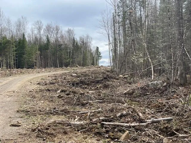 $172,900 | Lot 117 Big Snow Way, Rangeley, ME 04970
