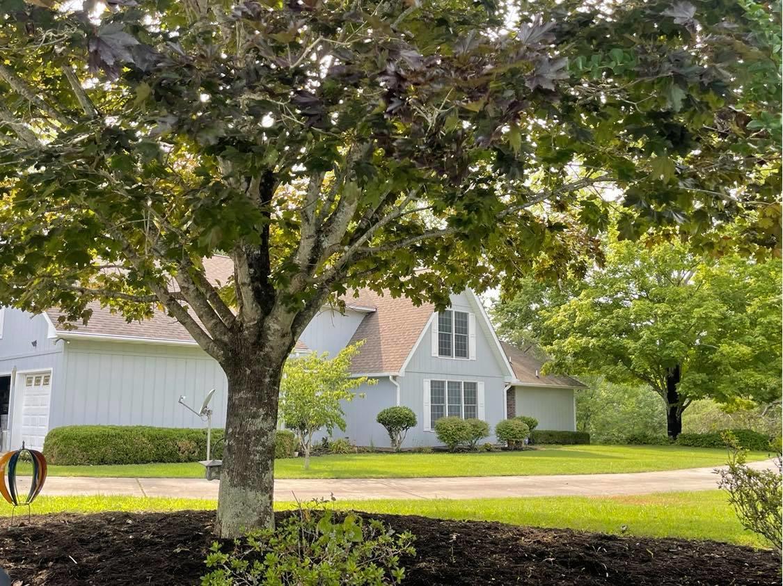 1070 Whites Creek Road Spring City, TN 37381 - Photo 4 of 44 225834735_316282663234468_64591886364840