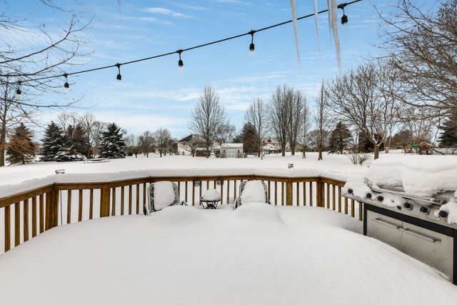 3N708 Baert Road St. Charles, IL 60175 - Photo 40 of 48 Gallery Image 40