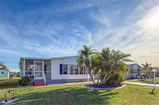 a view of a backyard with plants and palm tree