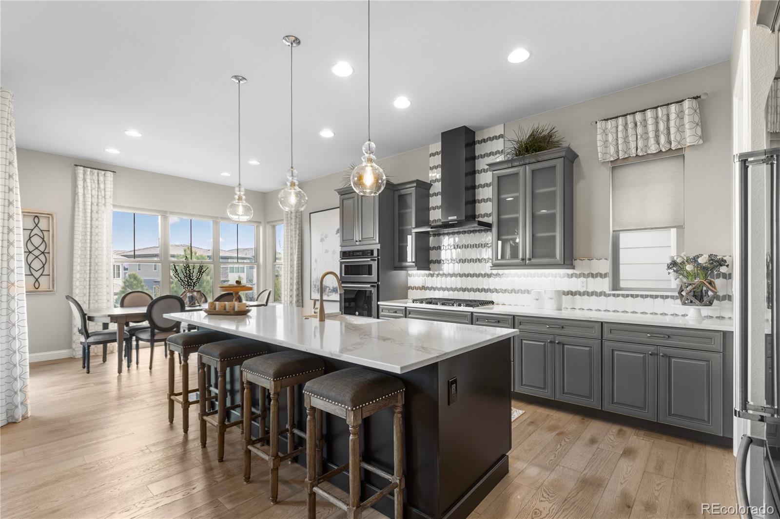 485 Meadowleaf Lane Highlands Ranch, CO 80126 - Photo 2 of 29