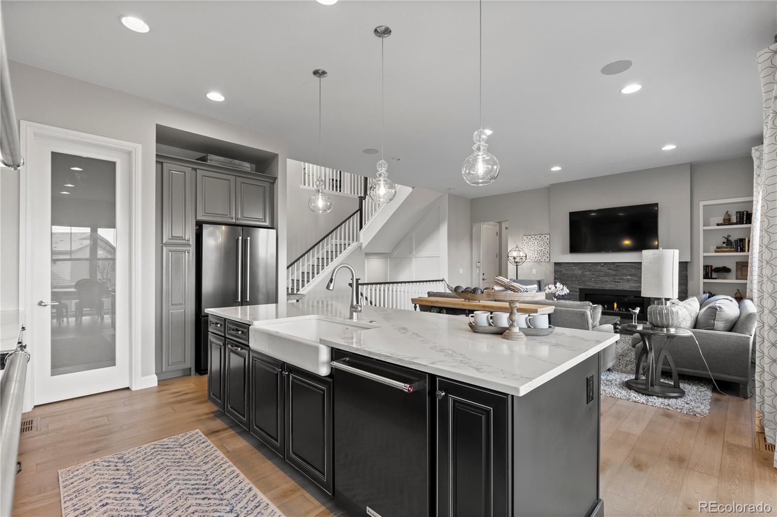 485 Meadowleaf Lane Highlands Ranch, CO 80126 - Photo 3 of 29