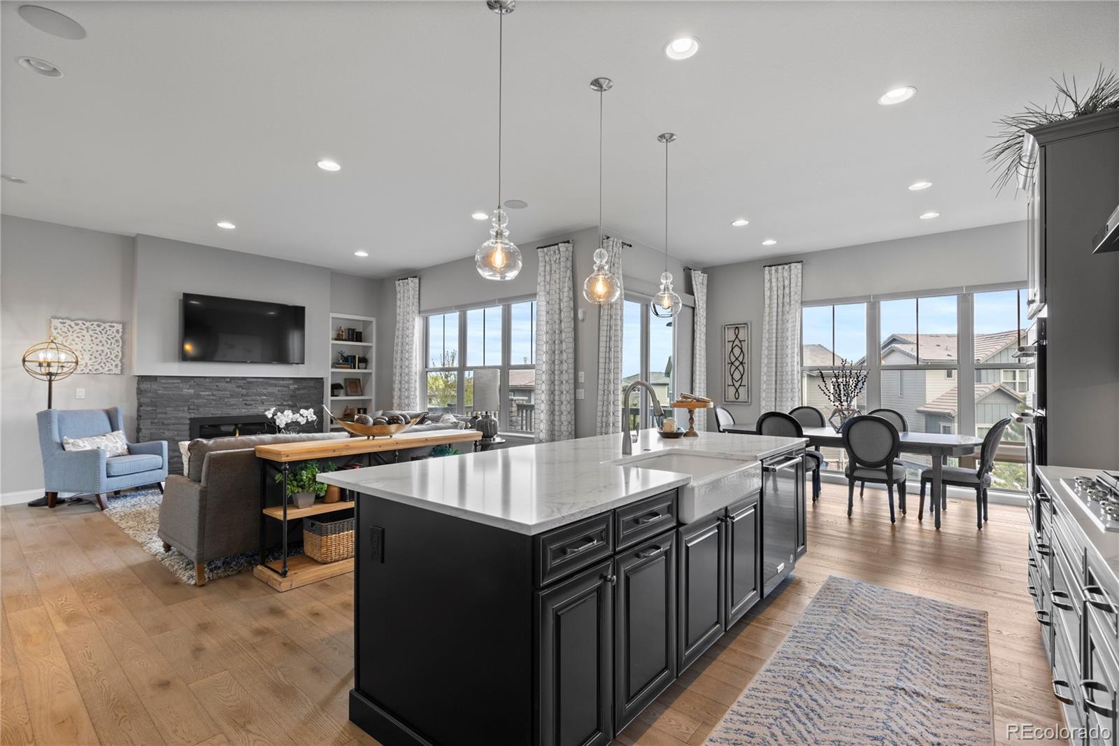 485 Meadowleaf Lane Highlands Ranch, CO 80126 - Photo 4 of 29