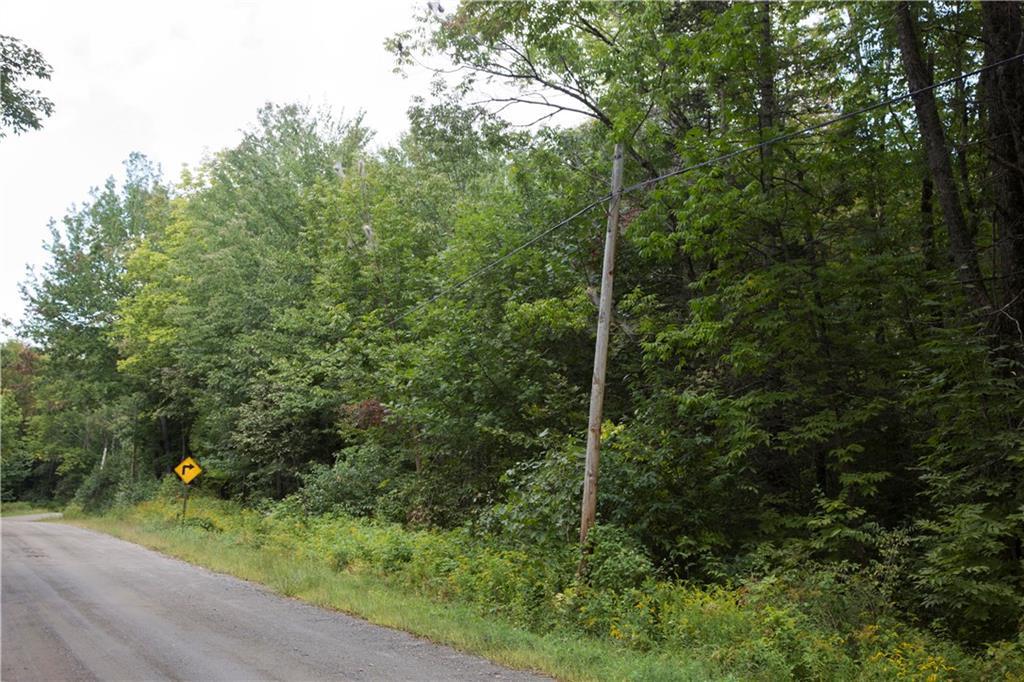 Tbd Cottrell Road Dixmont, ME 04932 - Photo 10 of 15 Along south side road frontage
