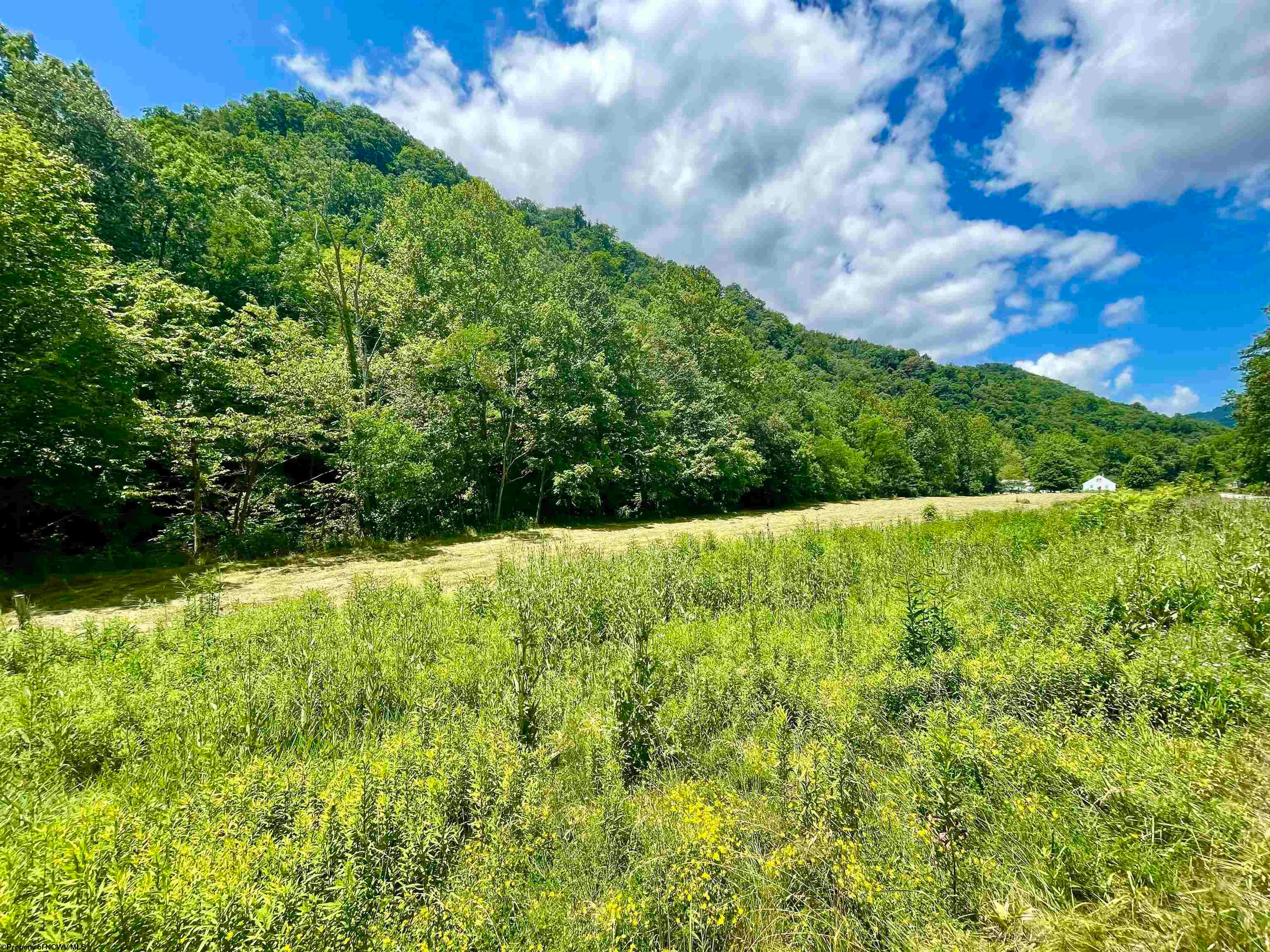 2766 Allegheny Drive Seneca Rocks, WV 26884 - Photo 14 of 19 Gallery Image 14