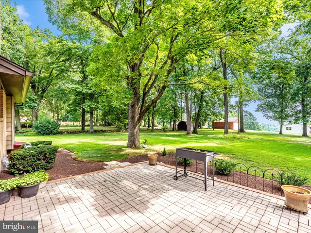 a view of a park with trees and wooden fence