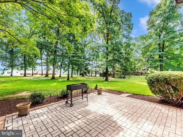 a park view with a bench and trees