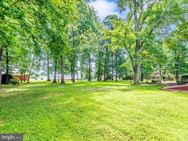 a big yard with trees in the background