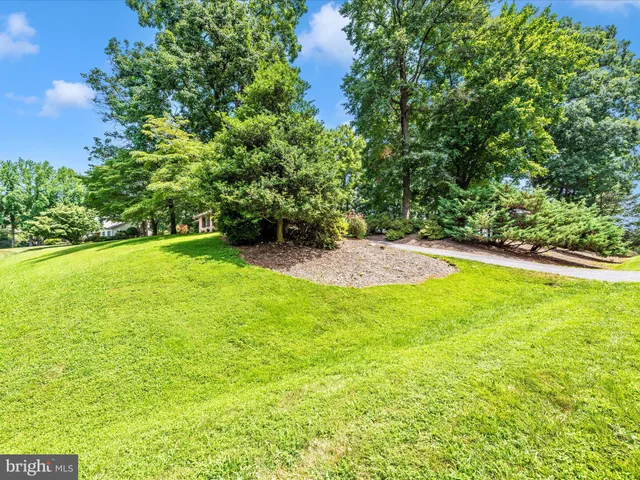 a view of yard with swimming pool