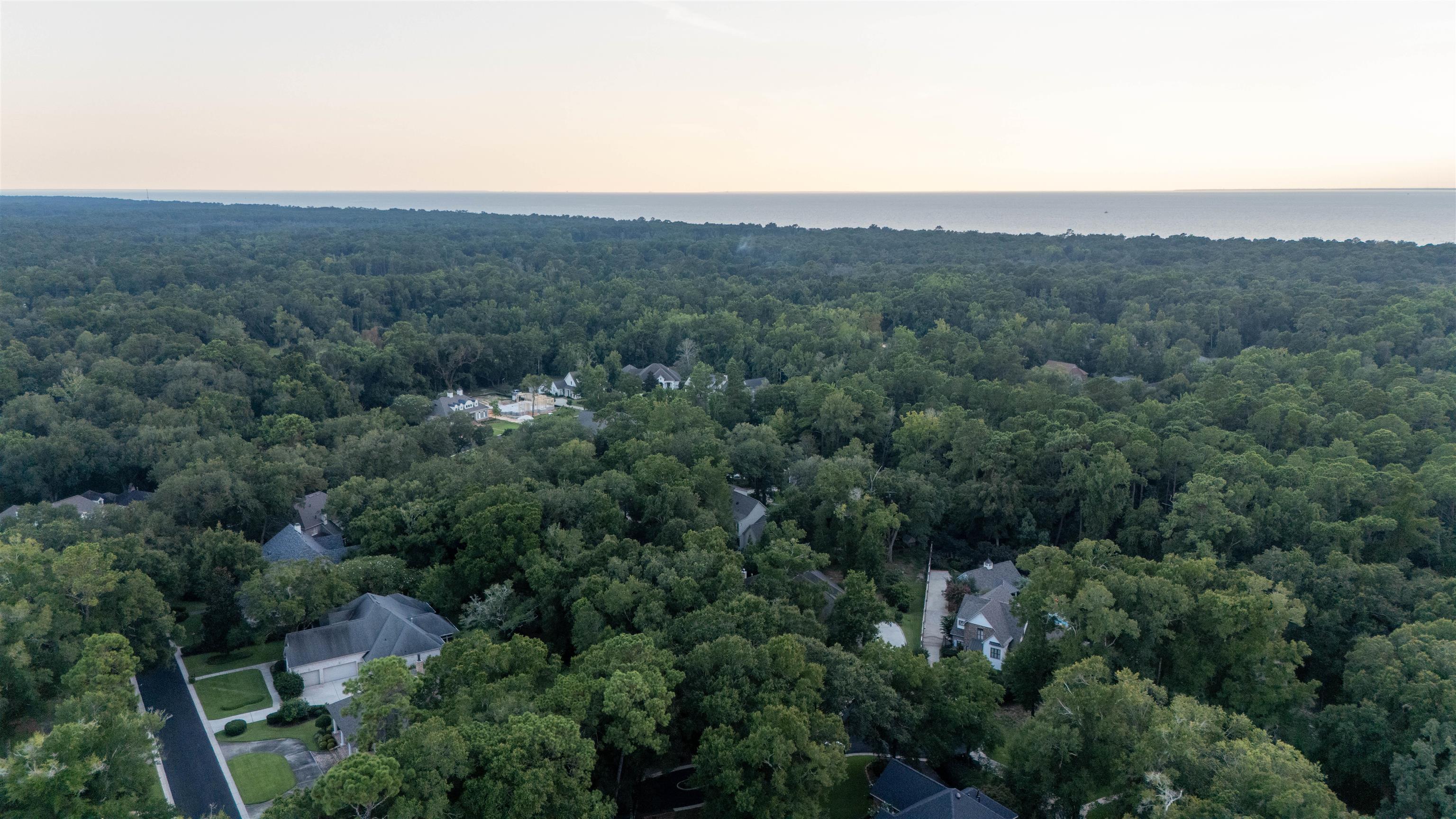 17455 Stillwood Lane Fairhope, AL 36532 - Photo 13 of 21 Aerial View
