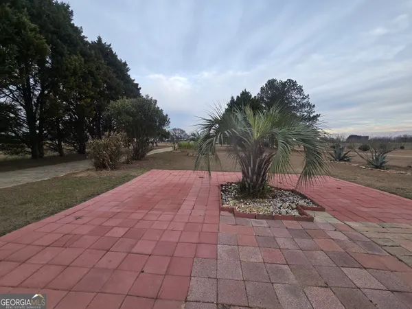 a view of a garden with a pathway