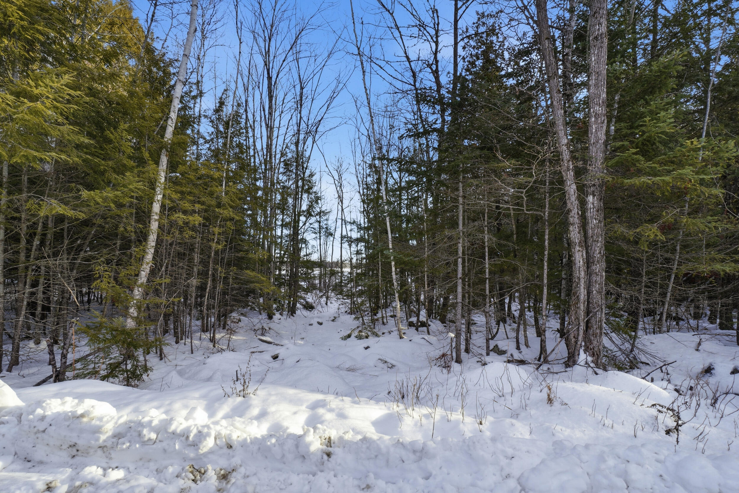 1,2 acre lot glenburn me 121325 (1)