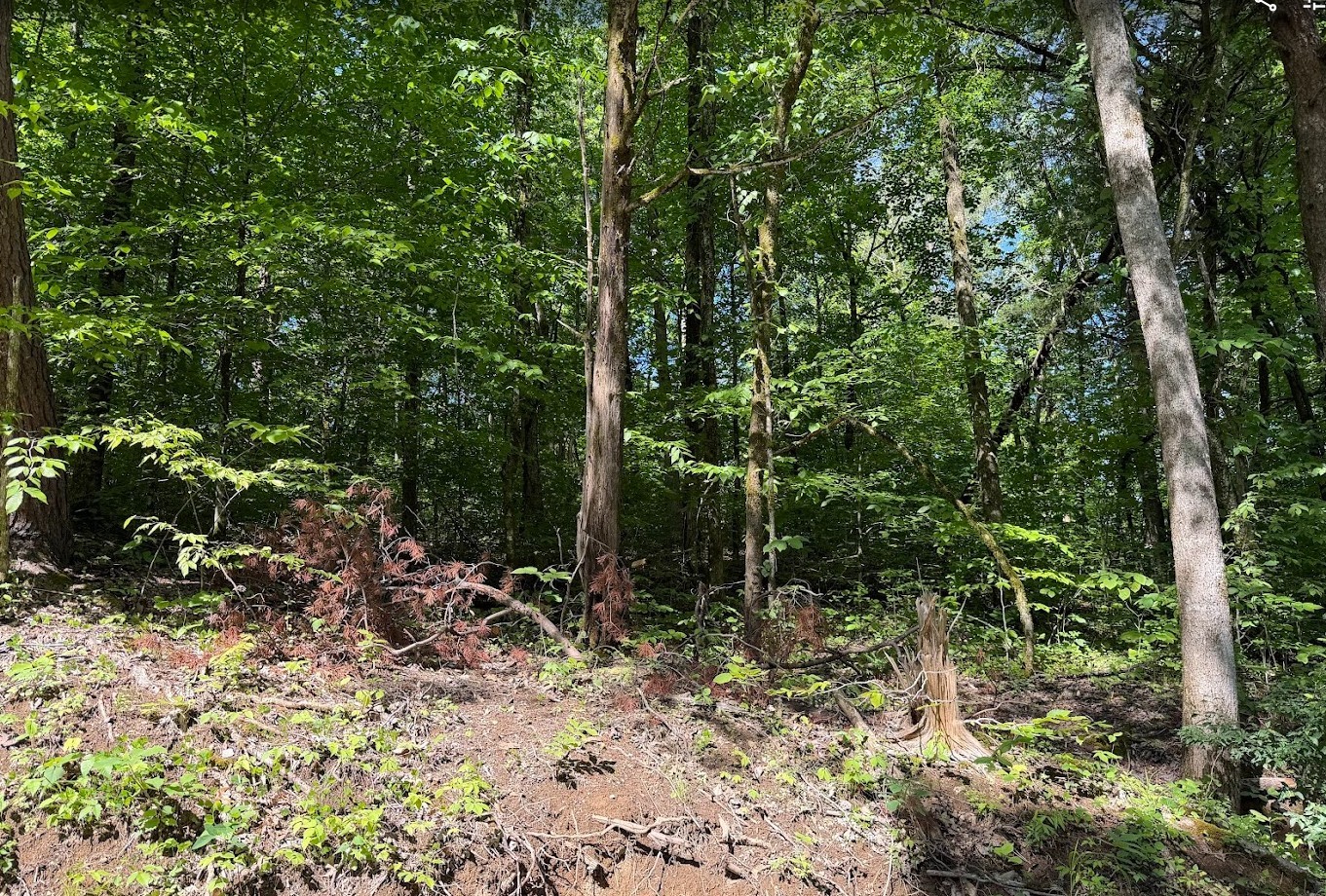 0 Spring Creek Road Cookeville, TN 38501 - Photo 7 of 13