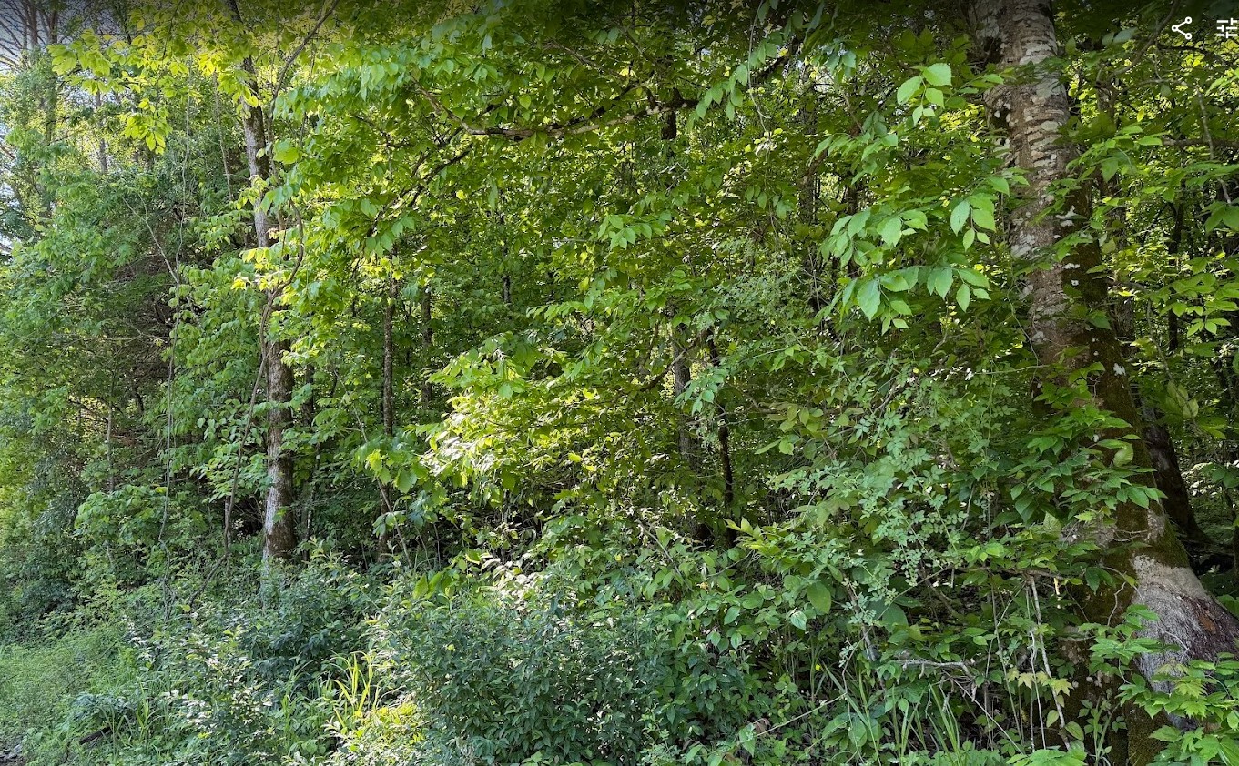 0 Spring Creek Road Cookeville, TN 38501 - Photo 10 of 13