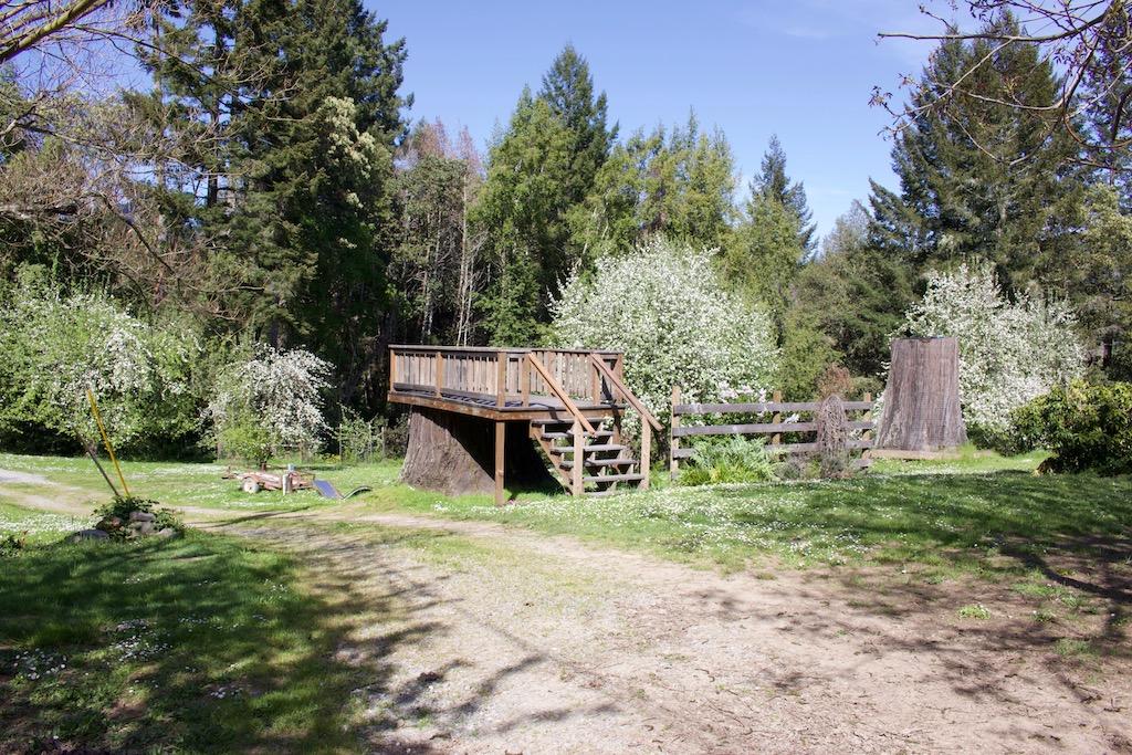 357 Colony Road Myers Flat, CA 95554 - Photo 52 of 52