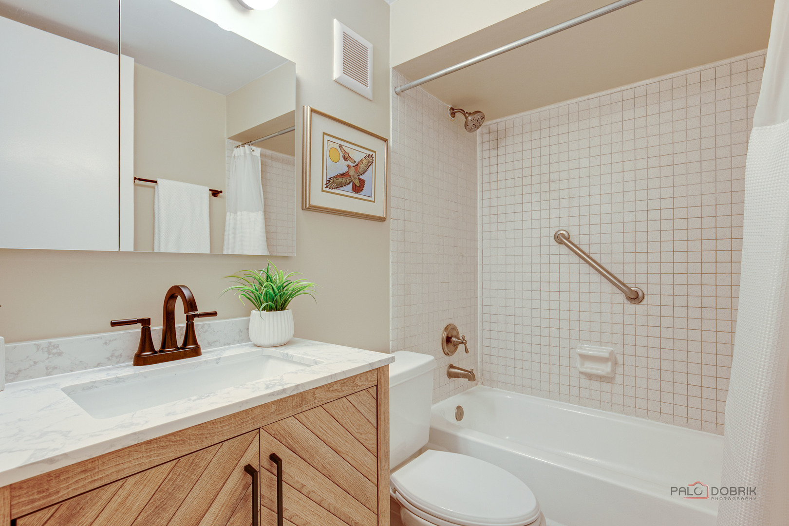 840 Michigan Avenue, Unit 9 Evanston, IL 60202 - Photo 16 of 27 a bathroom with a sink a toilet and shower