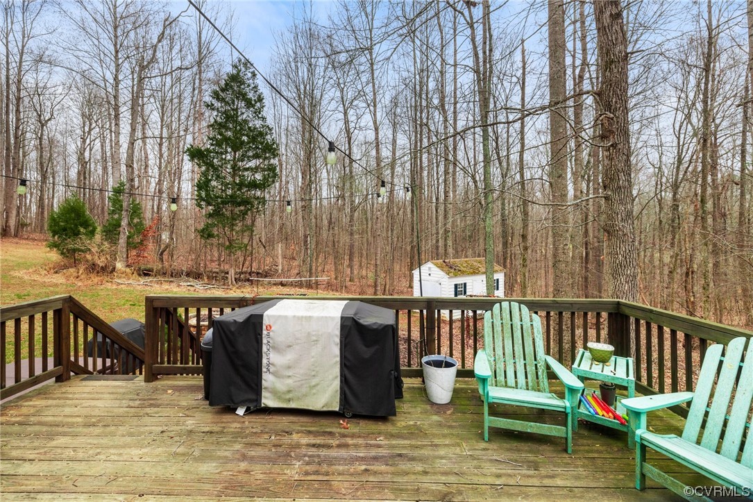 1600 Walkers Ridge Road Powhatan, VA 23139 - Photo 28 of 30 Gallery Image 28