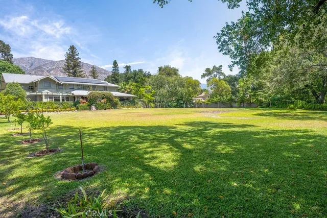 a big yard with lots of green space and palm trees