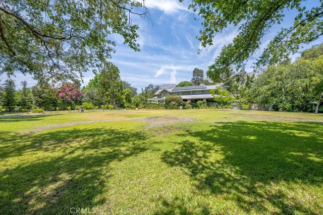 a view of a big yard with plants and large trees