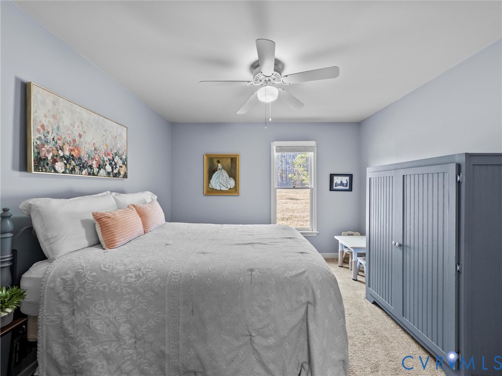 4309 Old Buckingham Road Powhatan, VA 23139 - Photo 28 of 50