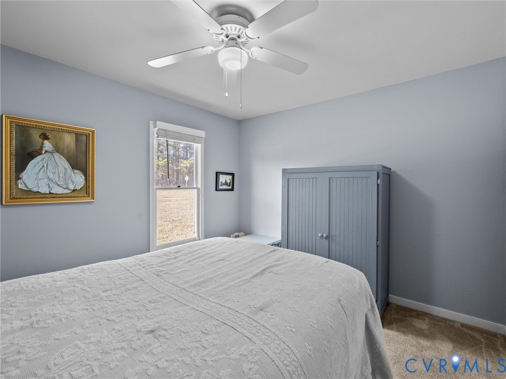 4309 Old Buckingham Road Powhatan, VA 23139 - Photo 29 of 50