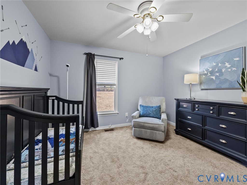 4309 Old Buckingham Road Powhatan, VA 23139 - Photo 30 of 50