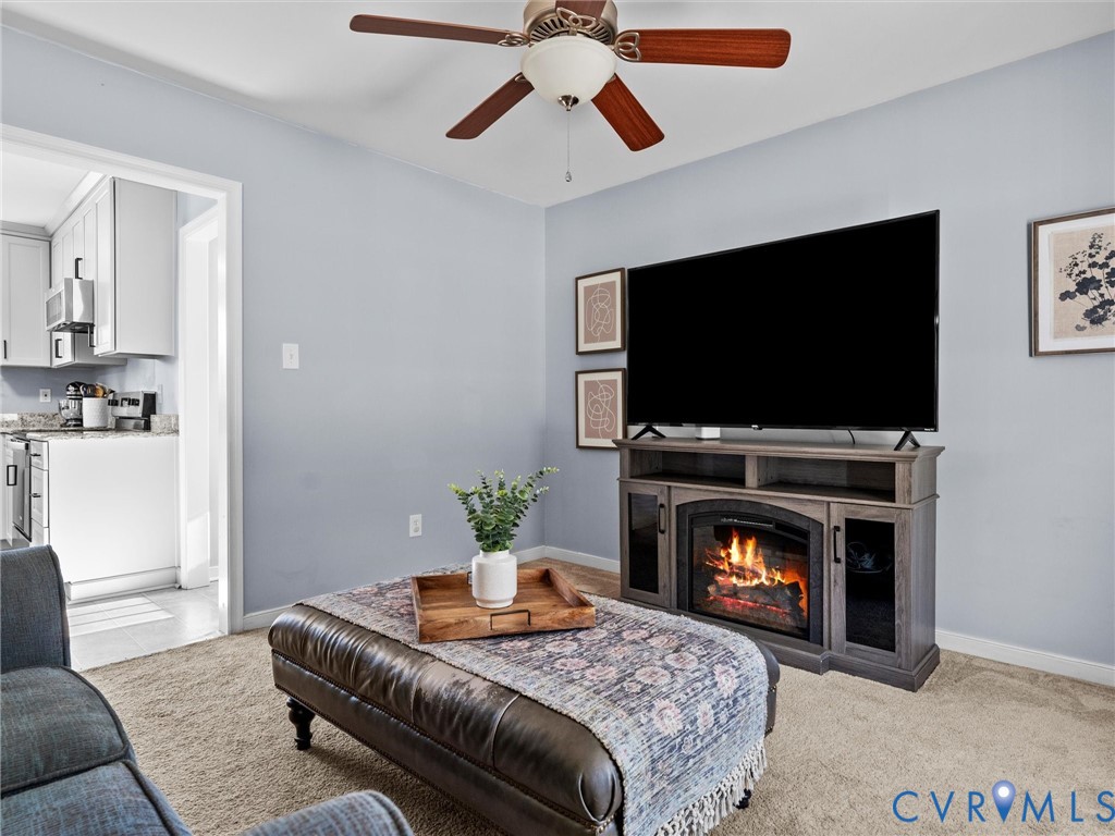 4309 Old Buckingham Road Powhatan, VA 23139 - Photo 8 of 50