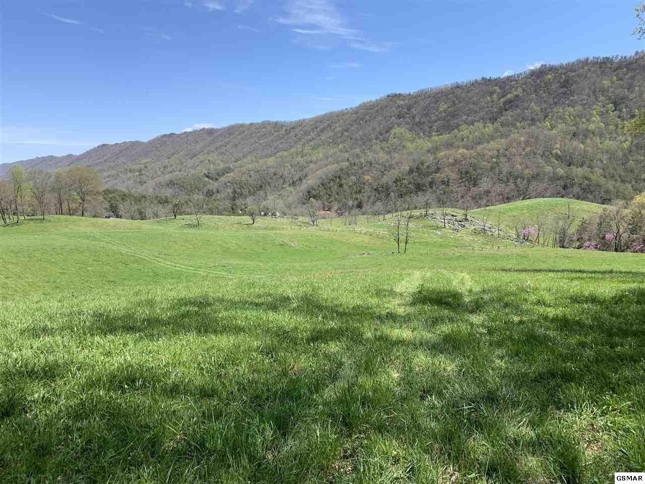 617 War Creek Road Eidson, TN 37731 - Photo 8 of 35