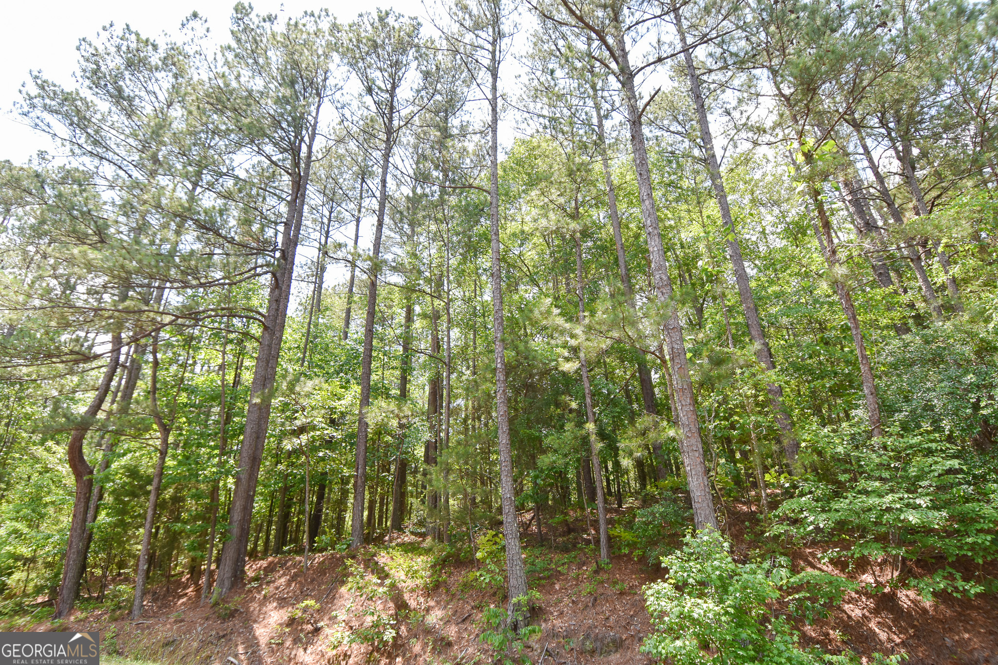 0 Skelton Road, Unit LOT 4 Thomaston, GA 30286 - Photo 1 of 1 Gallery Image 1