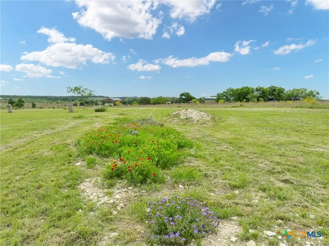 a view of a field with trees