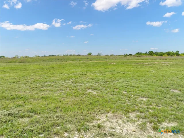 a picture of a yard with an outdoor space