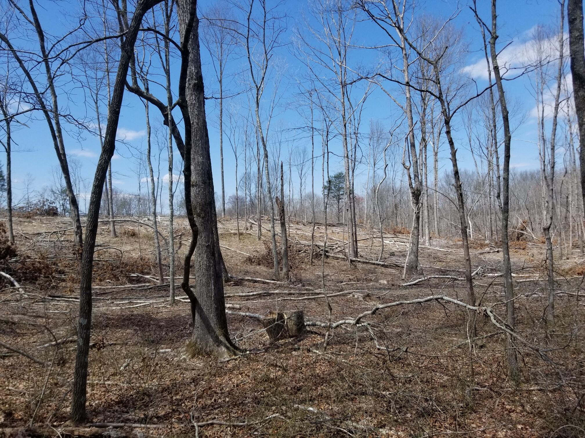 20180409_131105_resized