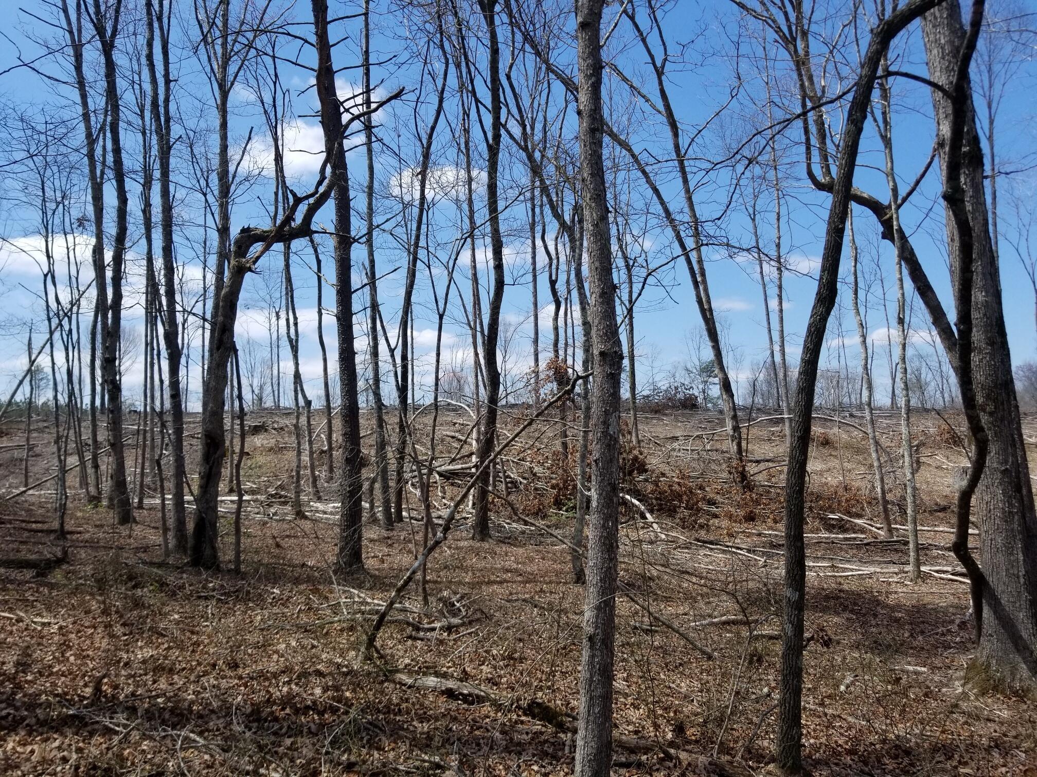 20180409_131108_resized
