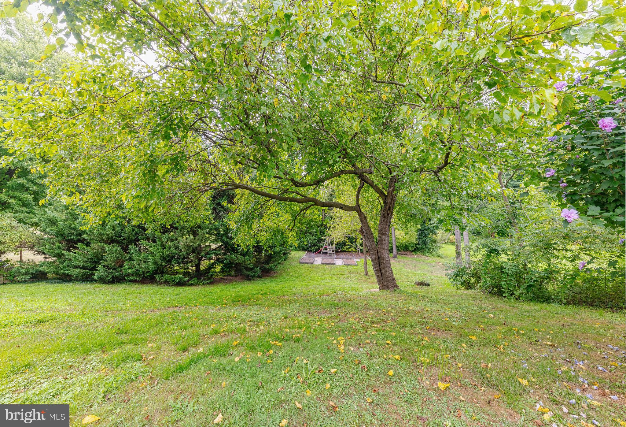 12 Eric Road Mullica Hill, NJ 08062 - Photo 26 of 26 Backyard