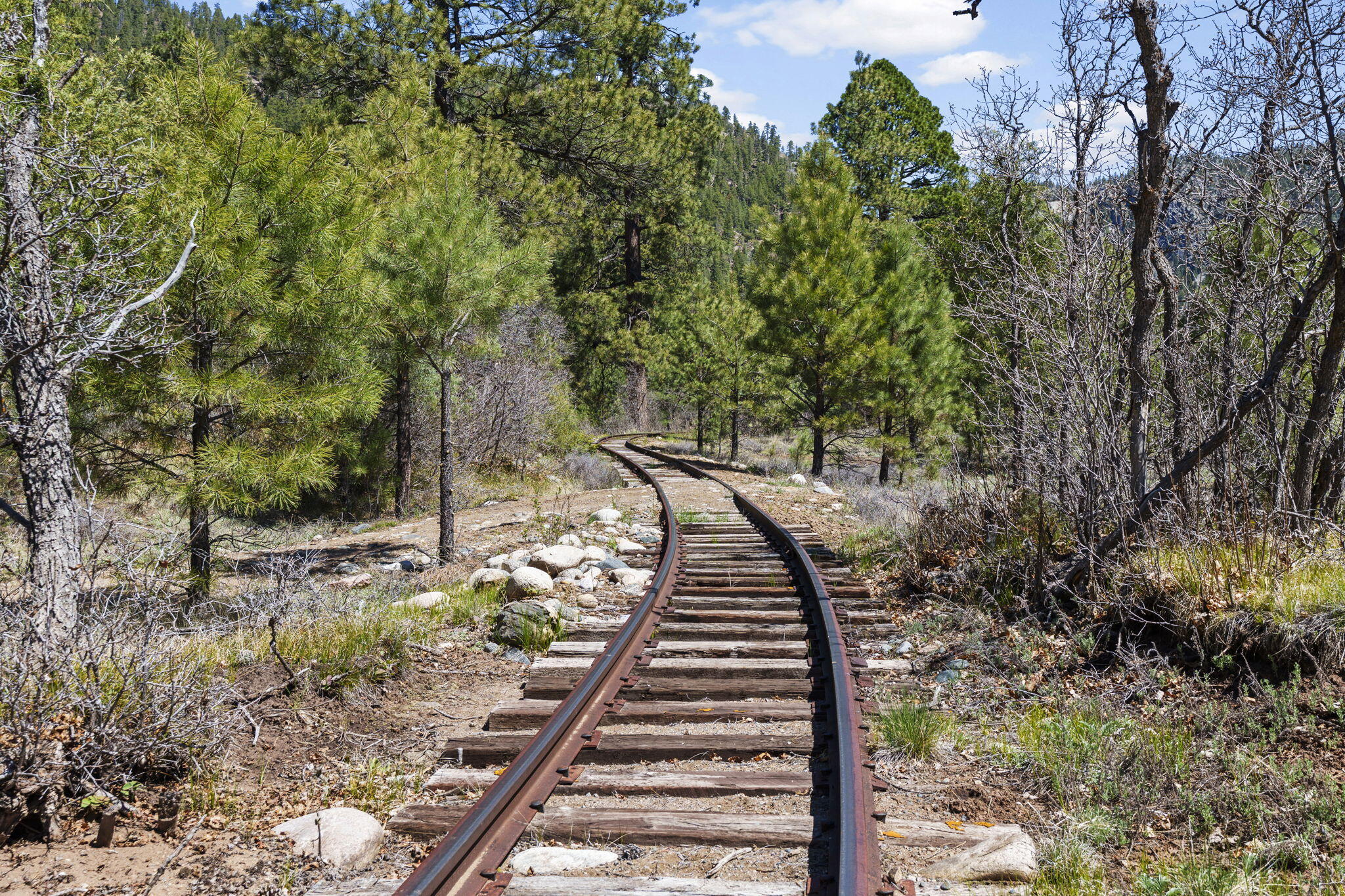 475 Milepost On D & Rg Durango, CO 81301 - Photo 20 of 45 TallTimber-8