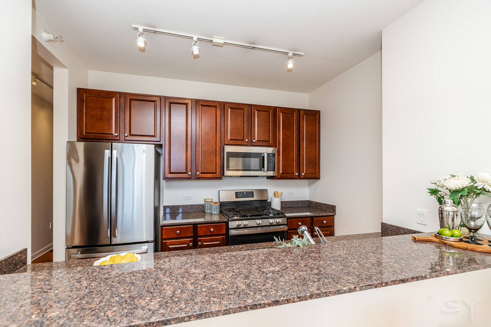 233 East 13th Street, Unit 2108 Chicago, IL 60605 - Photo 14 of 26