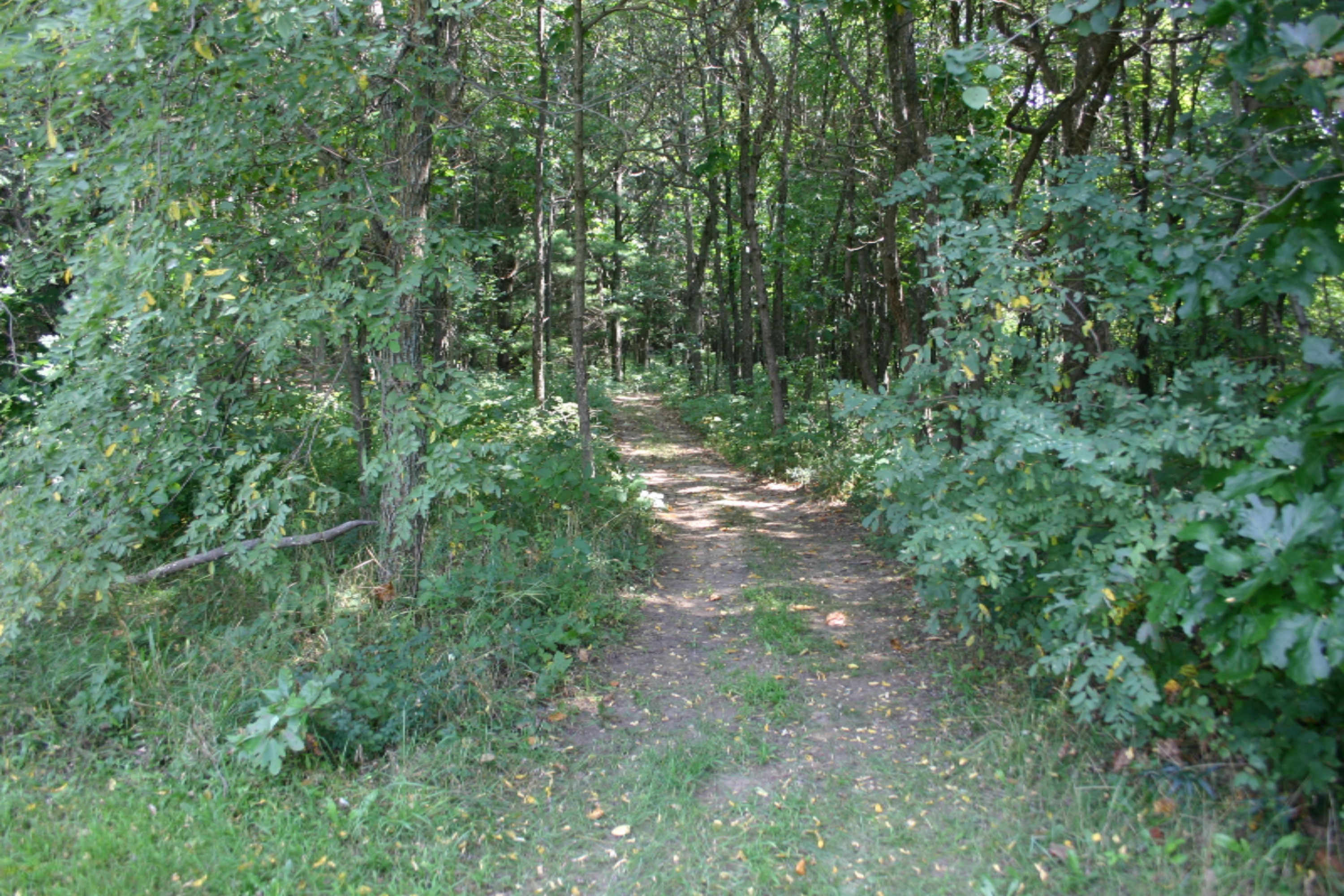 9861 Grape Ridge, Unit 19 Kalamazoo, MI 49009 - Photo 17 of 19 IMG_1437