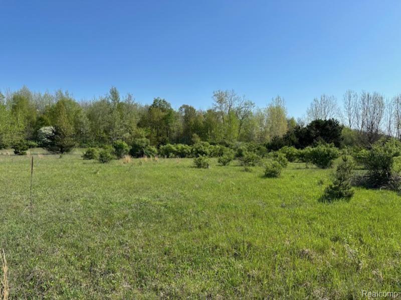 -parcel B Ambrose Road Mayville, MI 48744 - Photo 13 of 18 Gallery Image 13