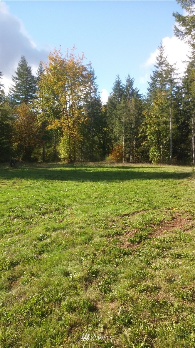 4-b Golden Pheasant Road Shelton, WA 98584 - Photo 1 of 3 Gallery Image 1