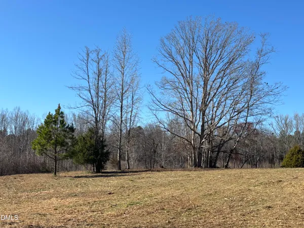 a view of a yard with trees in front of it