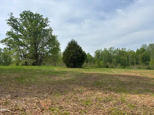 a view of a field with trees in background