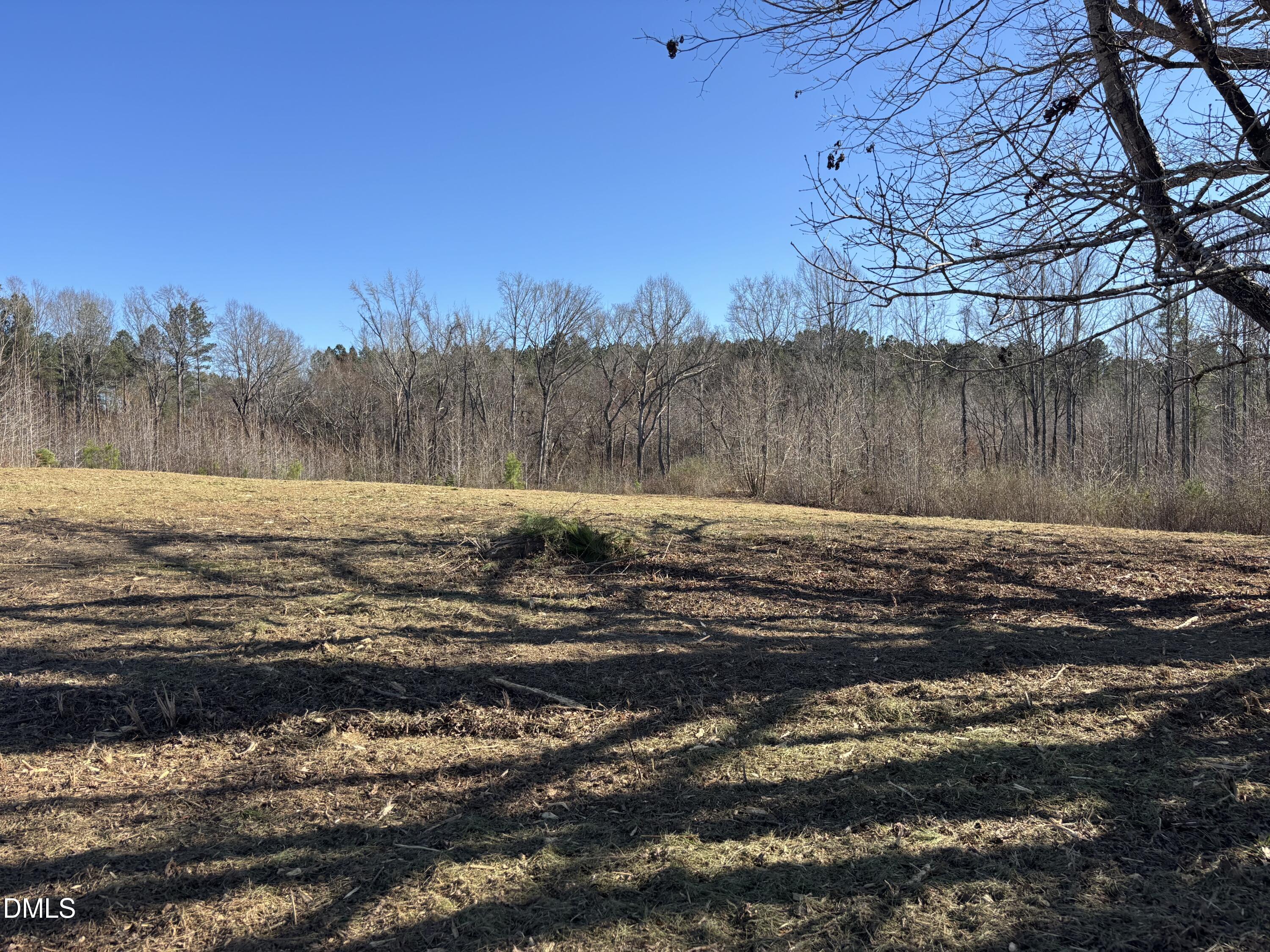 5 Keeton Road Bullock, NC 27507 - Photo 5 of 5 IMG_7987