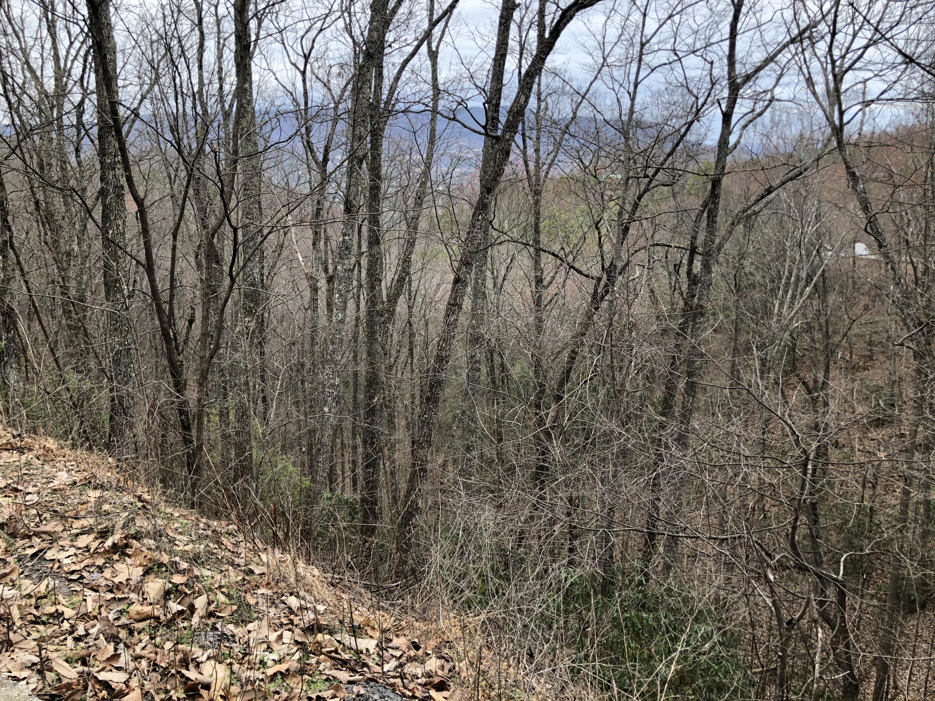 Spurling Way Sevierville, TN 37862 - Photo 3 of 5 E4FEA197-C4A3-412F-BF64-A073131A36CD