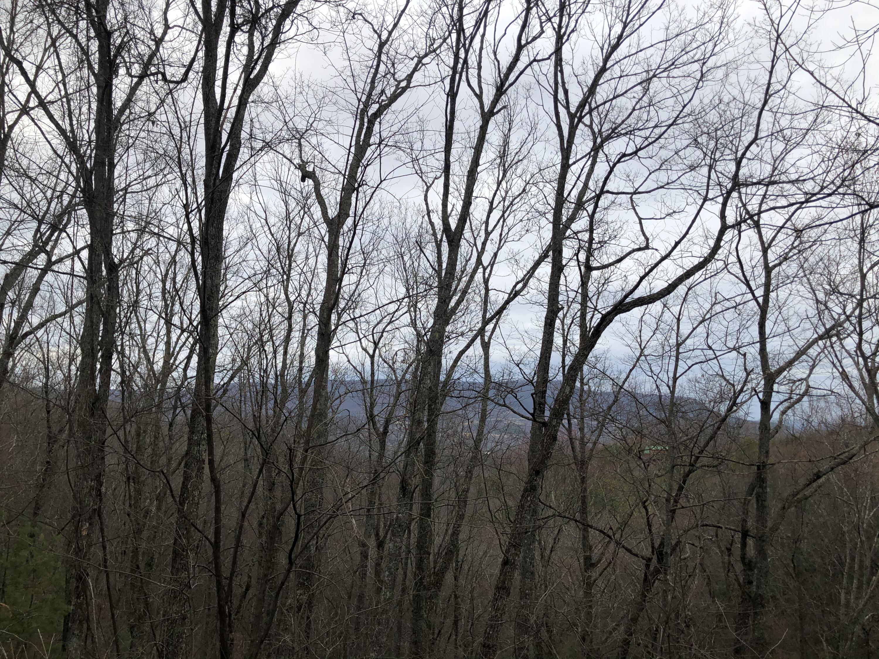 Spurling Way Sevierville, TN 37862 - Photo 4 of 5 CB7FBA98-8C7D-4038-A165-40CE2CC1FA38