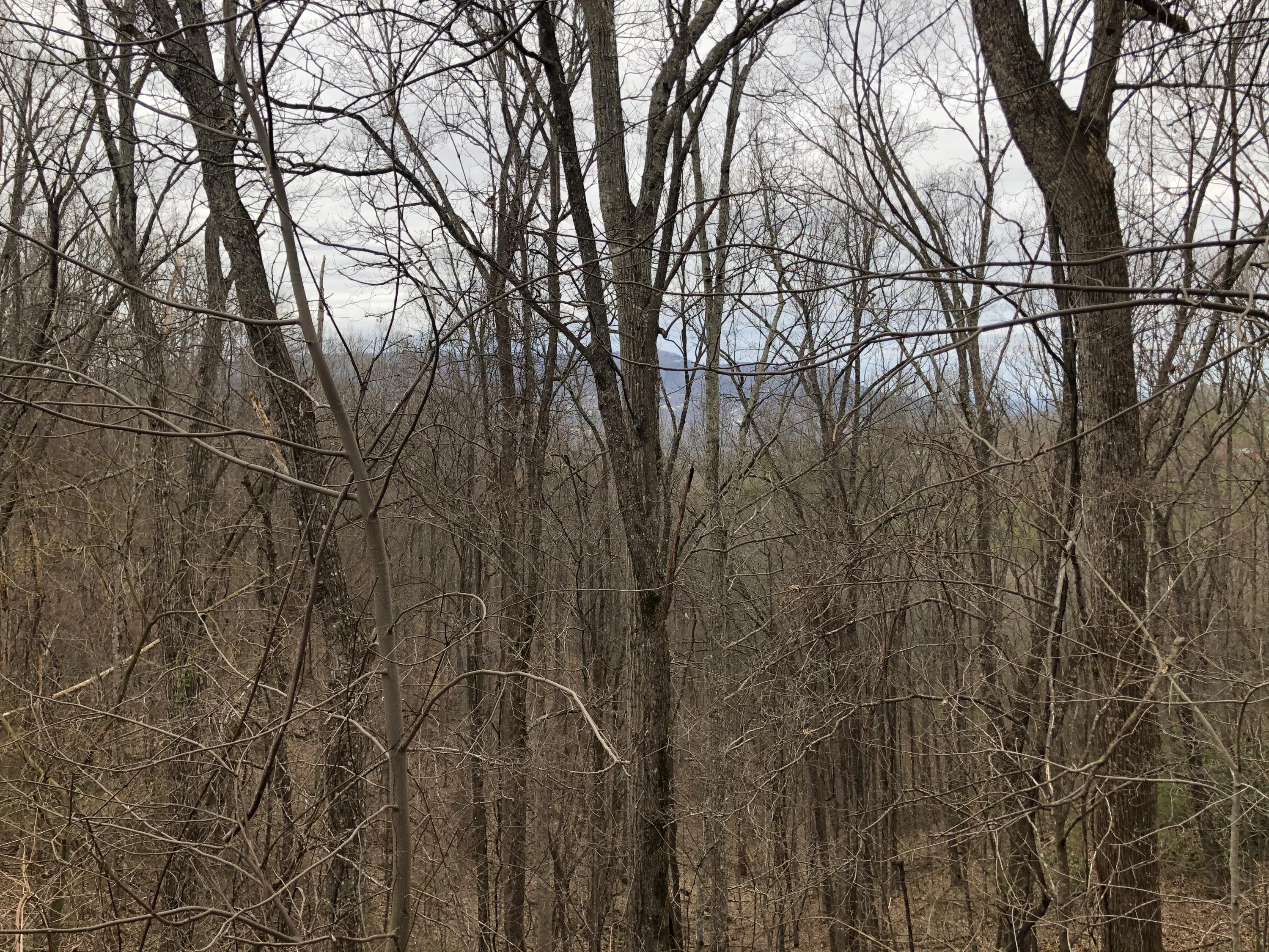 Spurling Way Sevierville, TN 37862 - Photo 5 of 5 DAF669E5-AC39-476E-A853-35D2C827B7E3