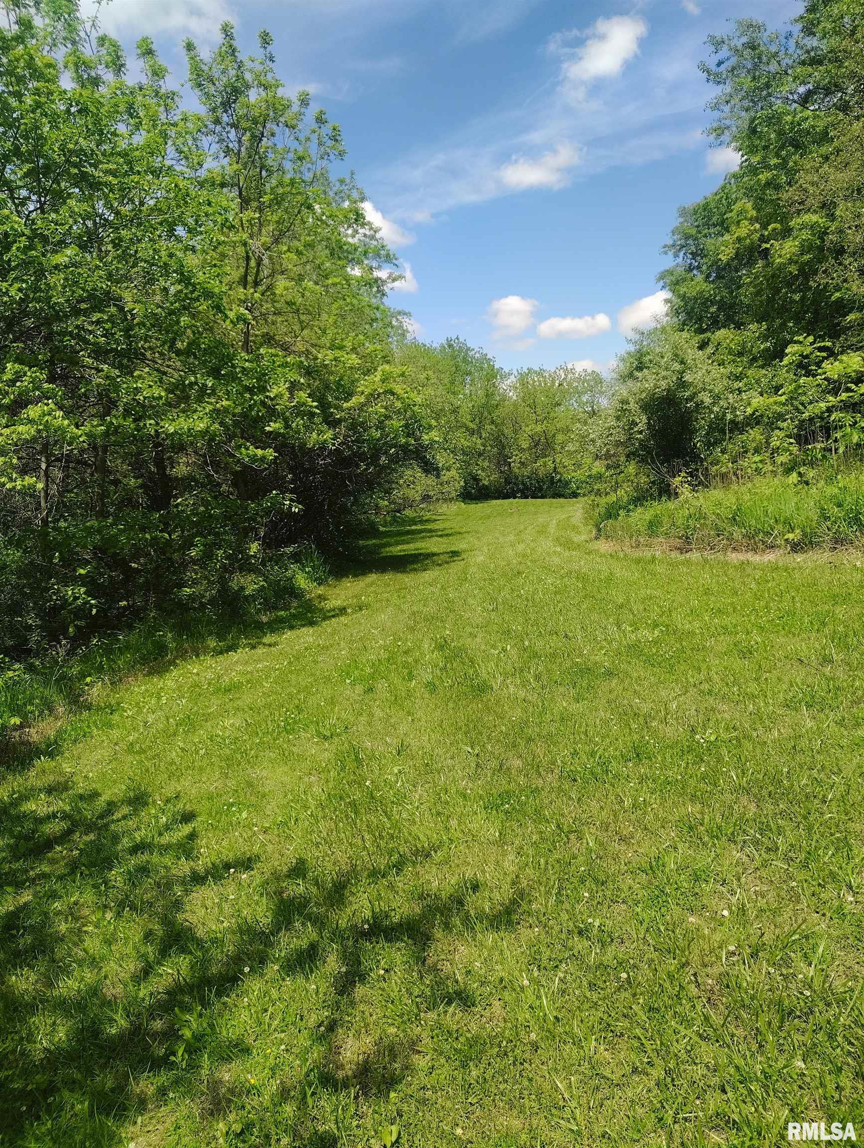 30720 North Norris Blacktop Road Farmington, IL 61531 - Photo 13 of 94